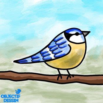 Un dessin d'oiseau facile (cycle 2) - Objectif dessin