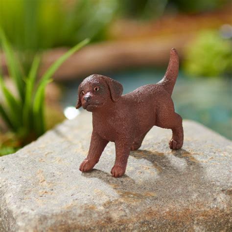 Miniature Chocolate Labrador Retriever Puppy - New Items