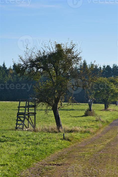 Meadow with hiking trail in Rhineland-Palatinate. View over field with ...