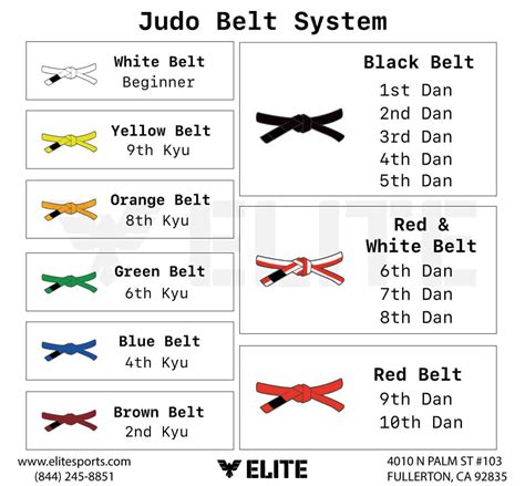 Which is Easier to Learn, Judo, Wrestling, or BJJ?