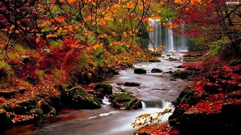 Autumn Waterfall Wallpaper (57+ images)