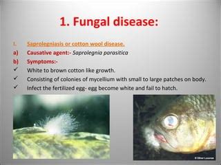 Pathogens of fish | PPT | Free Download