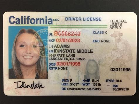 Fake California Drivers License Template