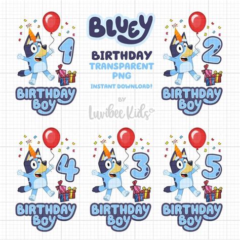 Bluey Inspired Birthday Boy Iron On Transfer Design with Age - Digital ...