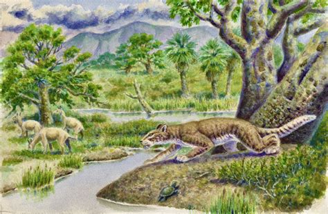 Eocene-Period Mammal Was Hypercarnivore with Serrated Teeth | Sci.News