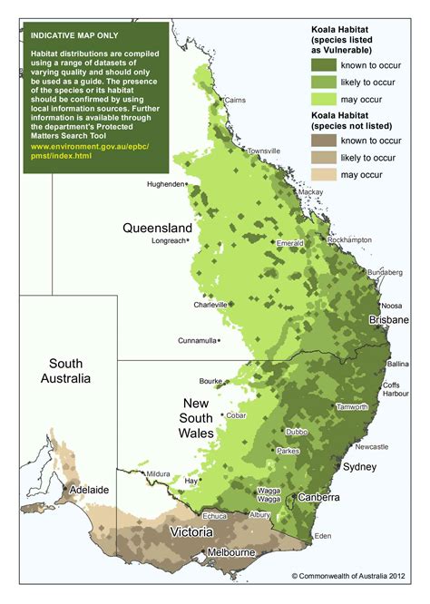 Fuzzy words endanger koalas' lives and habitat