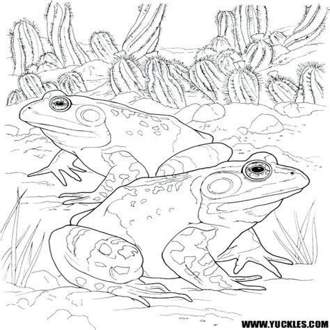 Frog And Toad Coloring Pages at GetColorings.com | Free printable colorings pages to print and color