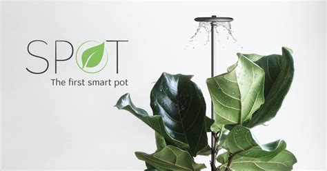 SPOT - A smart plant pot that takes selfies! | Indiegogo