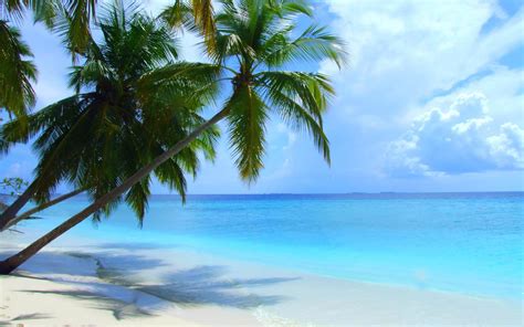 Free download Maldives beach scenery wallpaper 09 2560x1600 wallpaper download [2560x1600] for ...