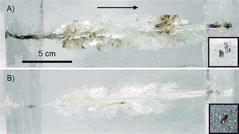 Photographs of ballistic gelatin block samples. The bullet trajectory ...