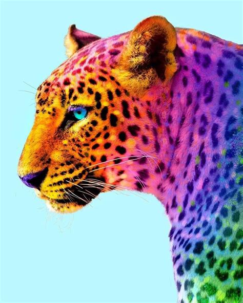 Animals: The Magnificent Rainbow Makeover Edition | Schattigste dieren ...