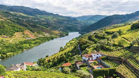 Douro Valley River Cruise 2021 | Tauck