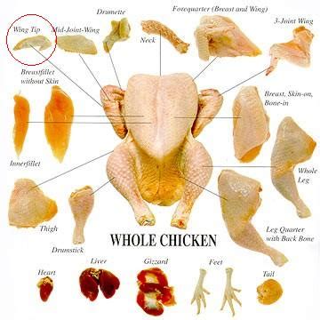 Parts of a Chicken Wing | Animals - mom.me