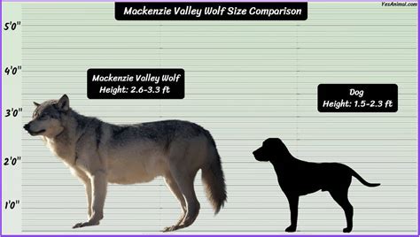 mackenzie size chart - Keski