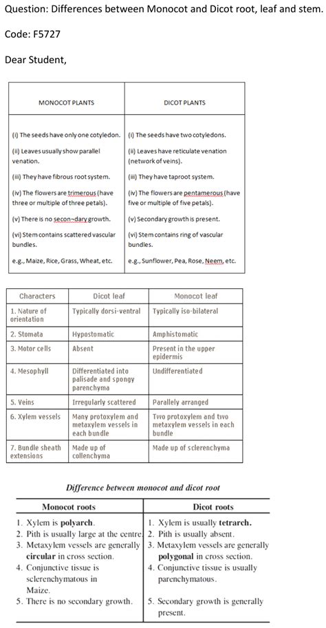 39. Difference between dicot and monocot root, stem and leaf