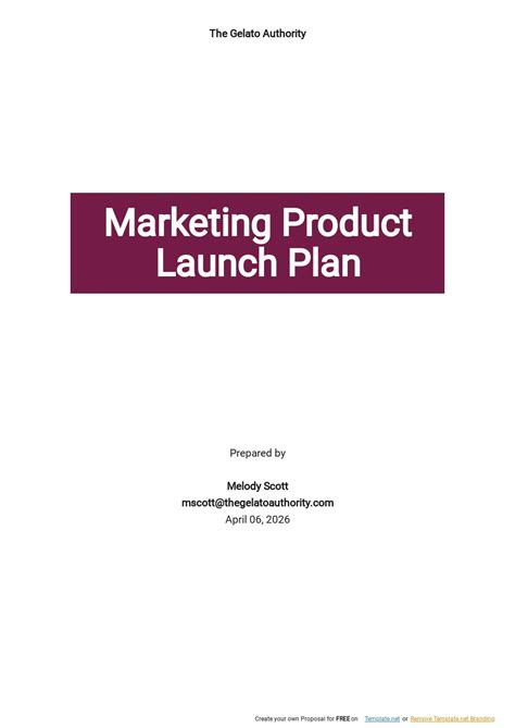 Product Marketing Plan Template [Free PDF] | Template.net