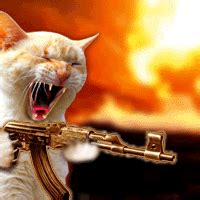 Cat With Gun Videos | Photobucket