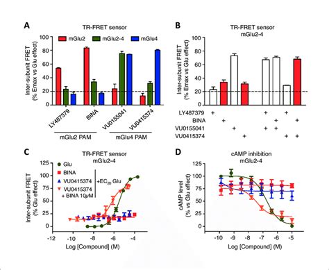 Synergistic action of mGlu2 and mGlu4 PAMs in mGlu2-4 heterodimer. (A)... | Download Scientific ...