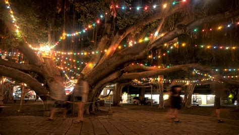 Lahaina Town, and its cultural heritage, destroyed in Maui wildfires