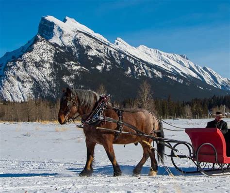 Banff Sleigh Rides | Banff Trail Riders | Official Website