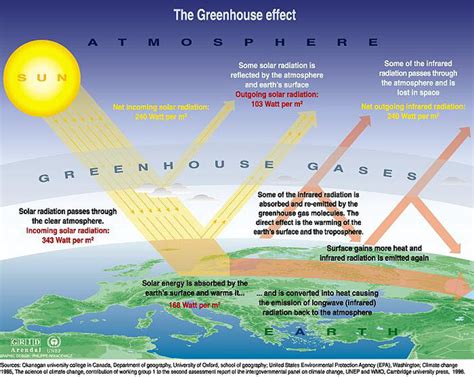 Greenhouse Effect