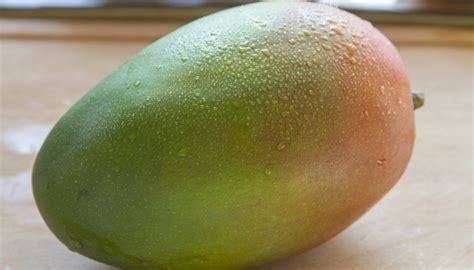 Best Mango Tree To Grow in Southern California: 15 Varieties