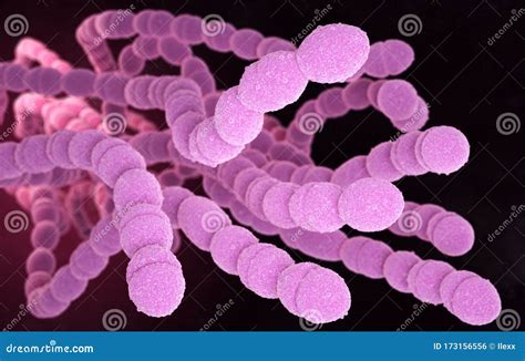 Streptococcus Pneumoniae Bacteria Stock Illustration - Illustration of ...