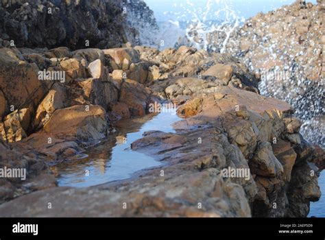 Seaside rock pool hi-res stock photography and images - Alamy