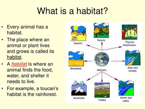 PPT - Habitats for Plants and Animals by Denise Carroll PowerPoint ...