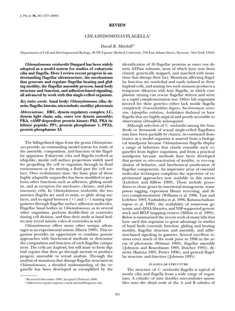 (PDF) Chlamydomonas flagella