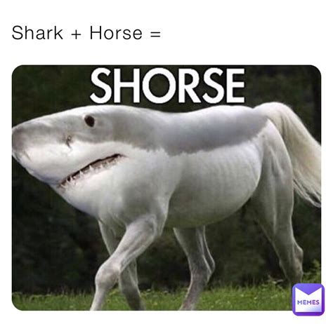 Shark + Horse = | @A_Cookie_Cat | Memes