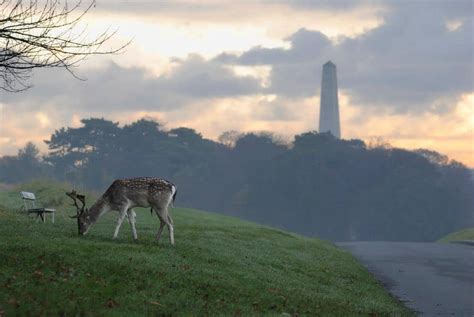 Phoenix Park & Dublin Zoo | Albany House