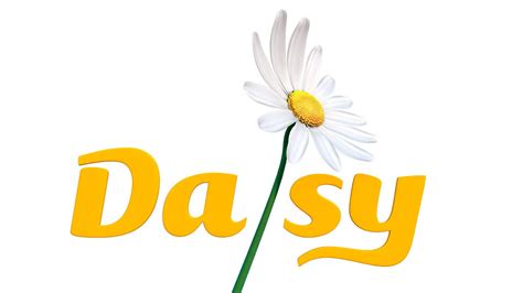 Daisy Flower Logo - LogoDix