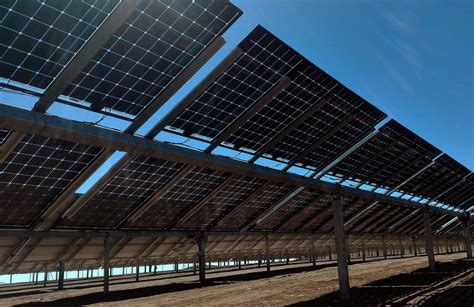 What are bifacial solar modules and how do they work?