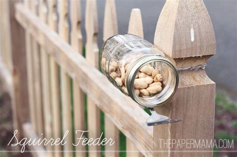 DIY Squirrel Feeder (Mason Jar) | Squirrel feeder, Squirrel feeder diy ...