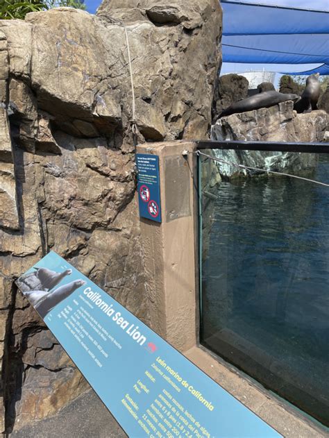 New York Aquarium – Sea Cliffs Exhibit - iZone Imaging