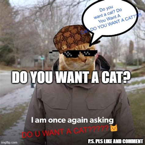 DO YOU WANT A CAT? - Imgflip