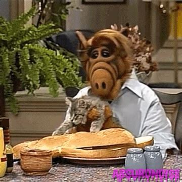 Alf eating a cat gif 7 » GIF Images Download