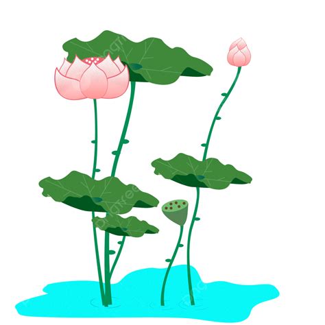 Hand Painted Lotus PNG Image, Hand Painted Cartoon Lotus Elements In Summer, Hand Draw, Lotus ...