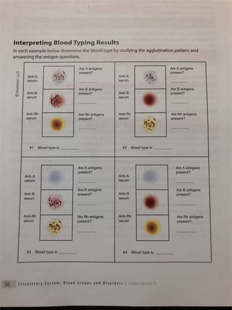 Solved Interpreting Blood Typing Results In each example | Chegg.com