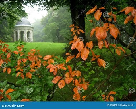 Garden view in autumn stock photo. Image of fall, historic - 238088