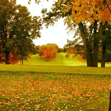 Golf in the Fall