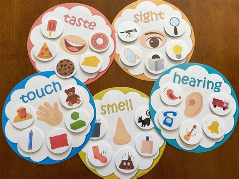 Five Senses Sorting Activity Printable Senses Sorting | ubicaciondepersonas.cdmx.gob.mx