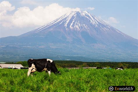 Fuji San de Fumoto – Exworld