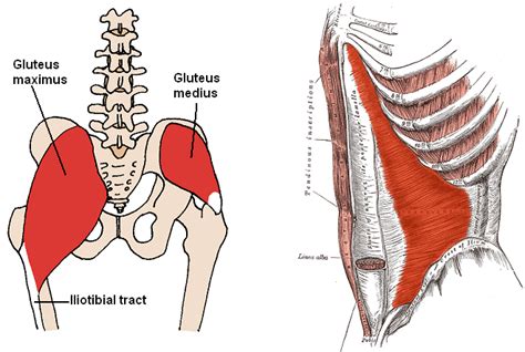 Herman & Wallace Pelvic Rehabilitation Continuing Education - Manual Therapy for the Lumbo ...