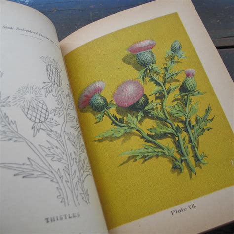 Rare Antique 1889 Victorian Book with Illustrations How To Shade from ...