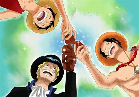 Pin by cc on One Piece (With images) | Luffy, One piece anime, Ace sabo ...