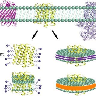 An overview of membrane protein crystallography. | Download Scientific Diagram