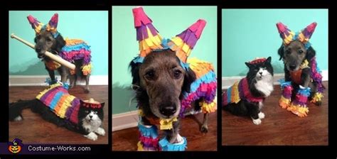 Party Animals - Costumes for Pets | DIY Costumes Under $45 - Photo 3/3