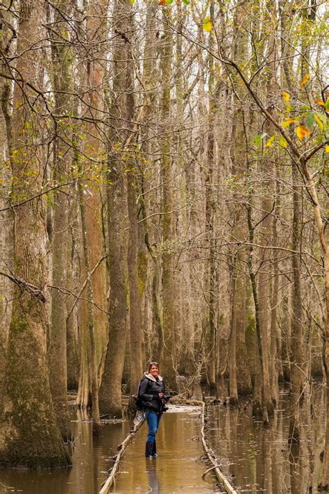 Congaree National Park — The Greatest American Road Trip